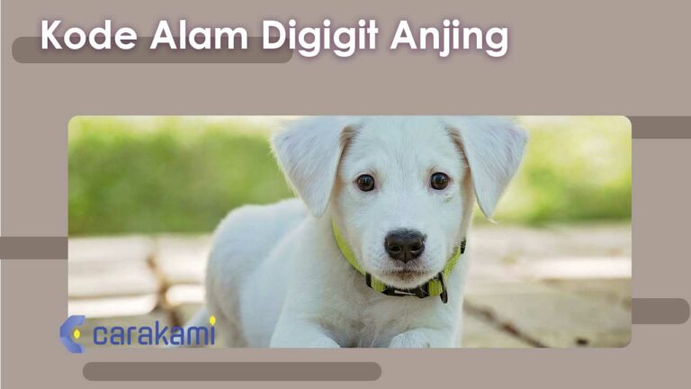 Kode Alam Digigit Anjing D D D Arti Mimpi Terbaru