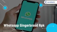 Whatsapp Gingerbread Apk