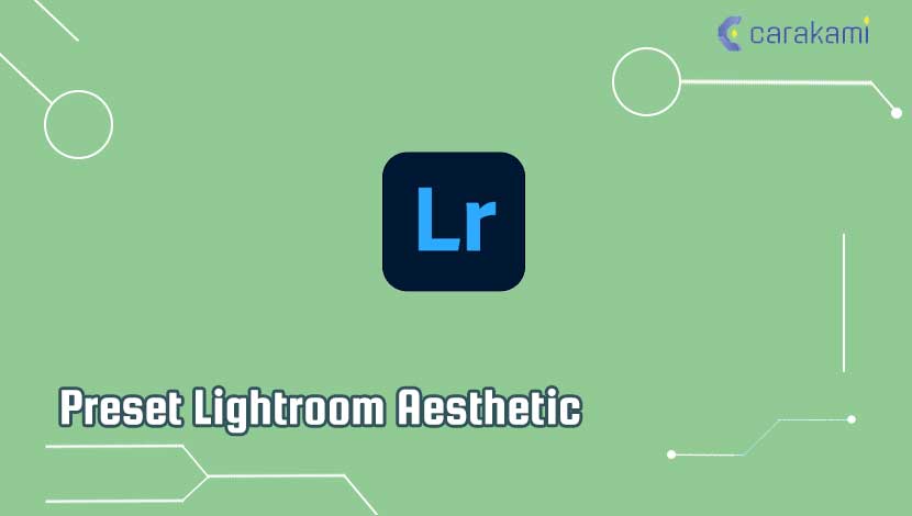 Preset Lightroom Aesthetic