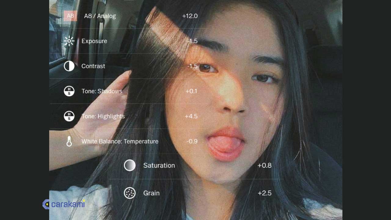 Preset VSCO Aesthetic Terbaik VSCO Selfie