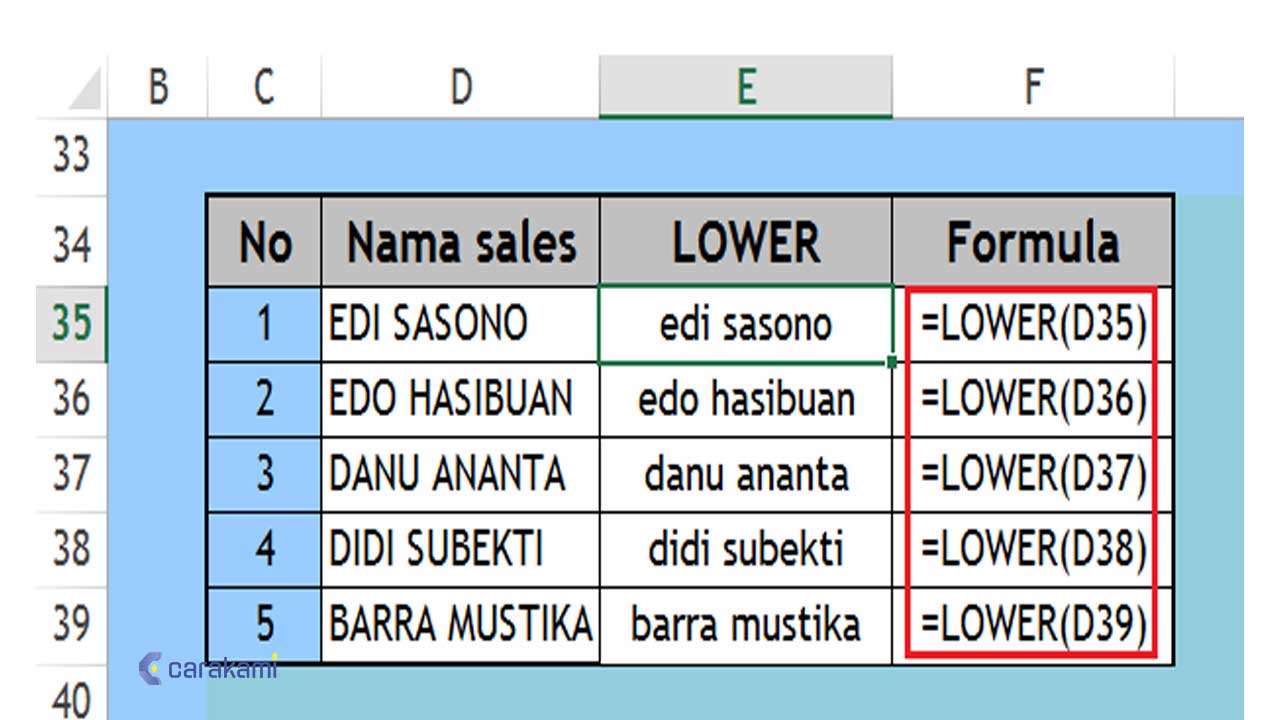 Cara Menggunakan Fungsi LOWER() Di Excel