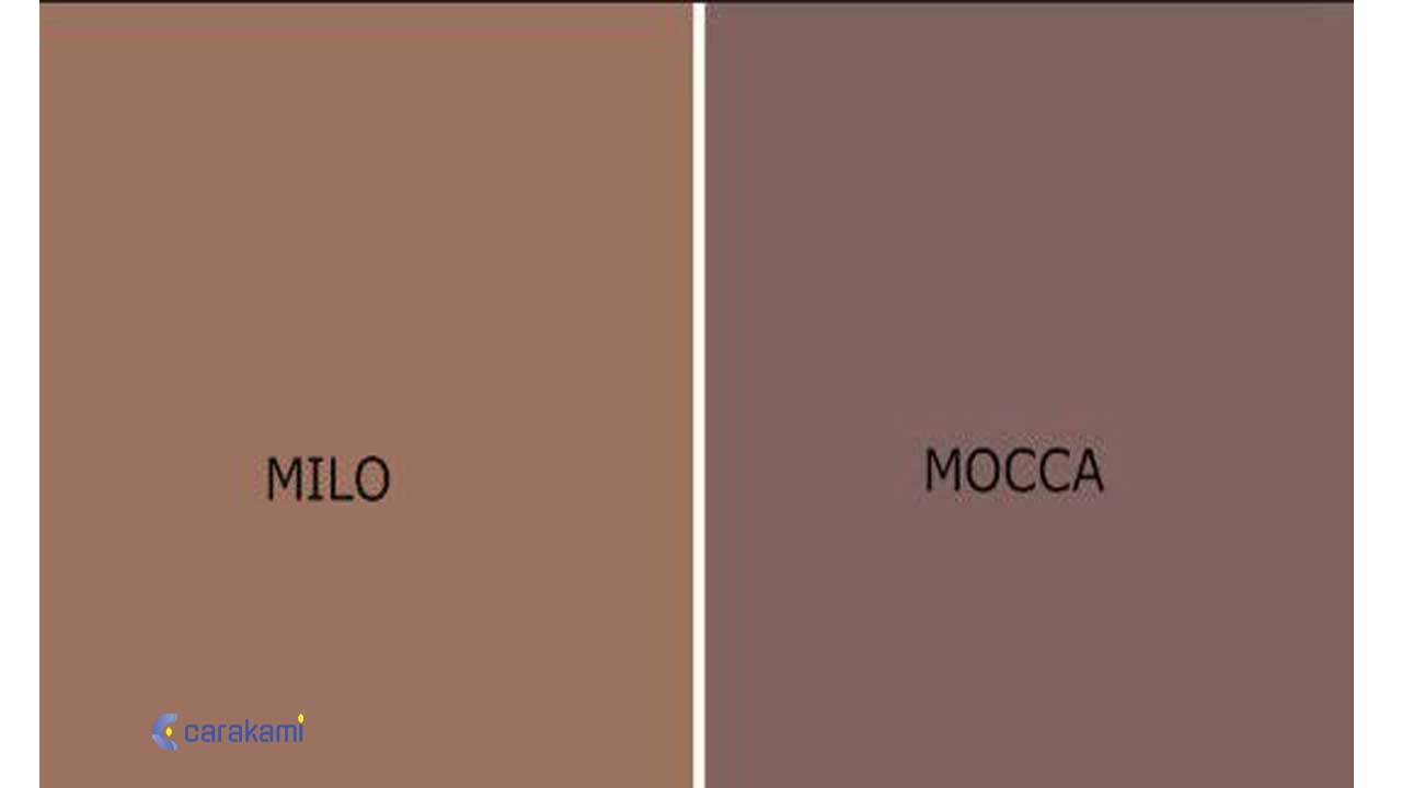 Perbedaan Warna Mocca dan Milo