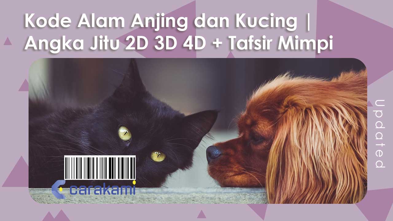 Kode Alam Anjing dan Kucing | Angka Jitu 2D 3D 4D + Tafsir Mimpi