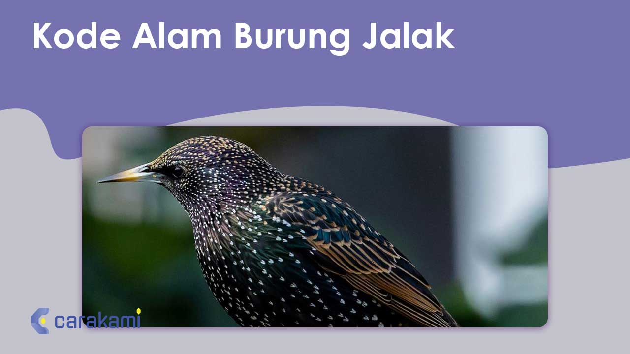 Kode Alam Burung Jalak