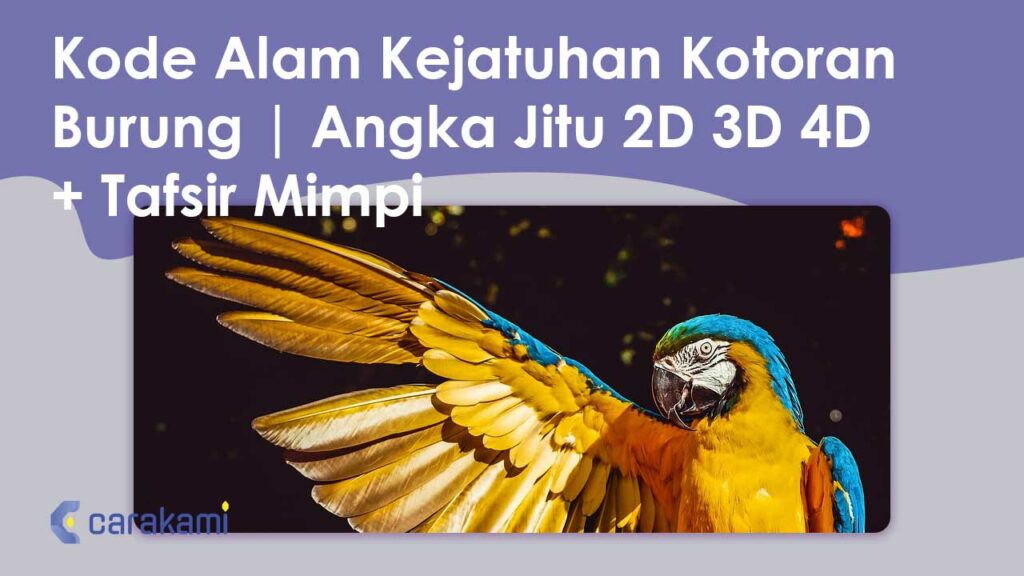 23+ Kode Alam Kejatuhan Kotoran Burung | Angka Jitu 2D 3D 4D Terbaru