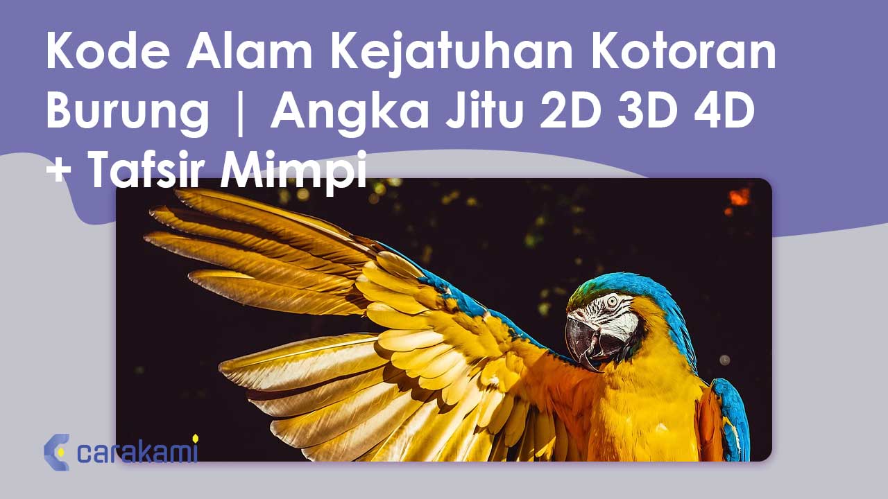 Kode Alam Kejatuhan Kotoran Burung | Angka Jitu 2D 3D 4D + Tafsir Mimpi