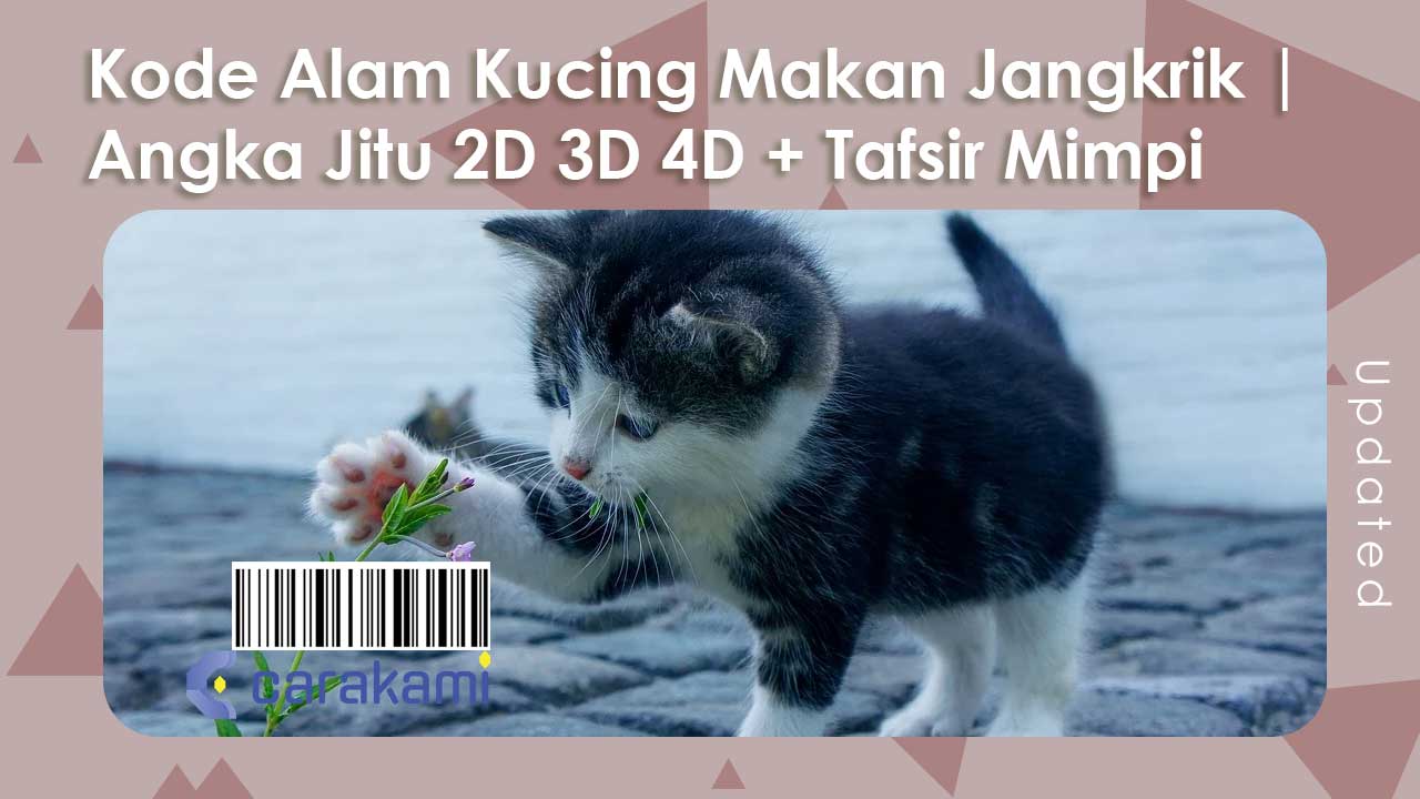 Kode Alam Kucing Makan Jangkrik | Angka Jitu 2D 3D 4D + Tafsir Mimpi