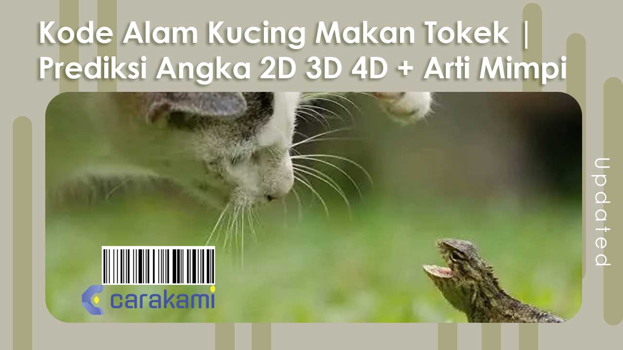 Kode Alam Kucing Makan Tokek | Prediksi Angka 2D 3D 4D + Arti Mimpi