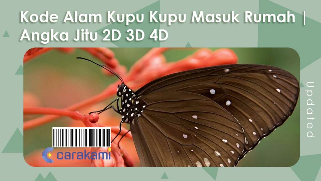 19+ Kode Alam Kupu Kupu Masuk Rumah | Angka Jitu 2D 3D 4D Lengkap