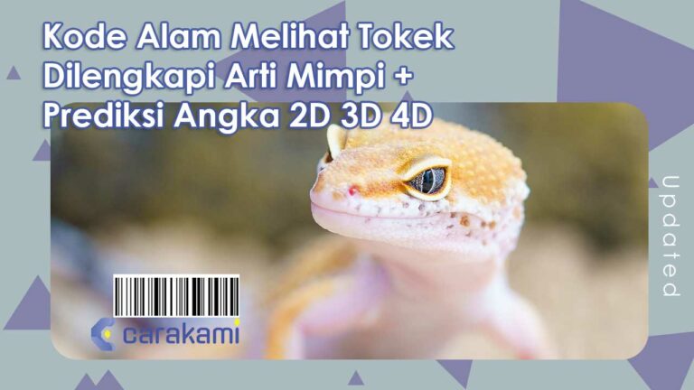 22+ Kode Alam Melihat Tokek Lengkap dengan Arti Mimpi + Prediksi Angka