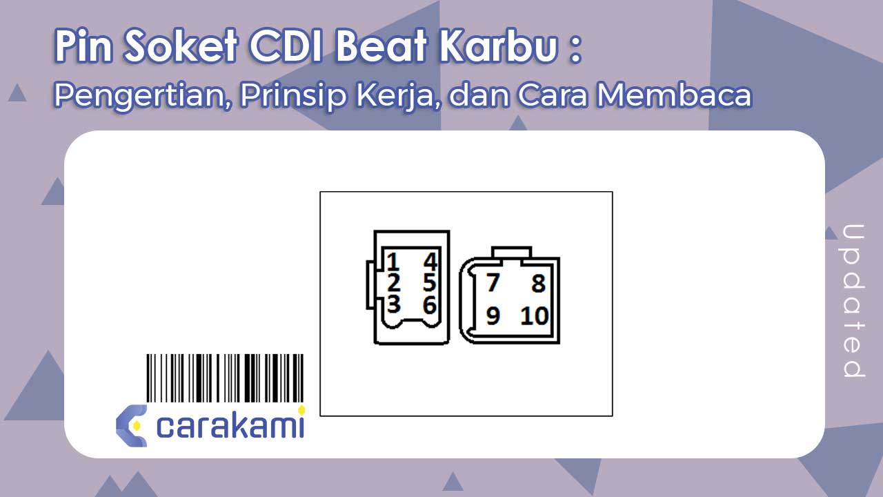 Pin Soket CDI Beat Karbu