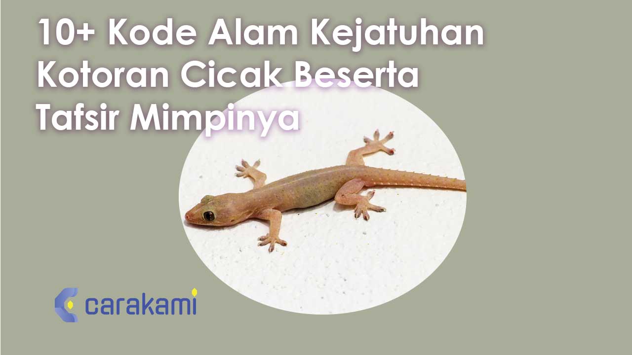 10+ Kode Alam Kejatuhan Kotoran Cicak Beserta Tafsir Mimpinya