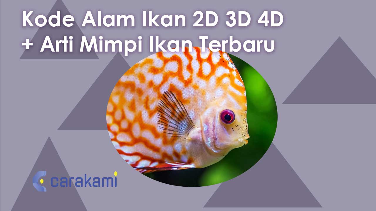 Kode Alam Ikan 2D 3D 4D + Arti Mimpi Ikan Terbaru
