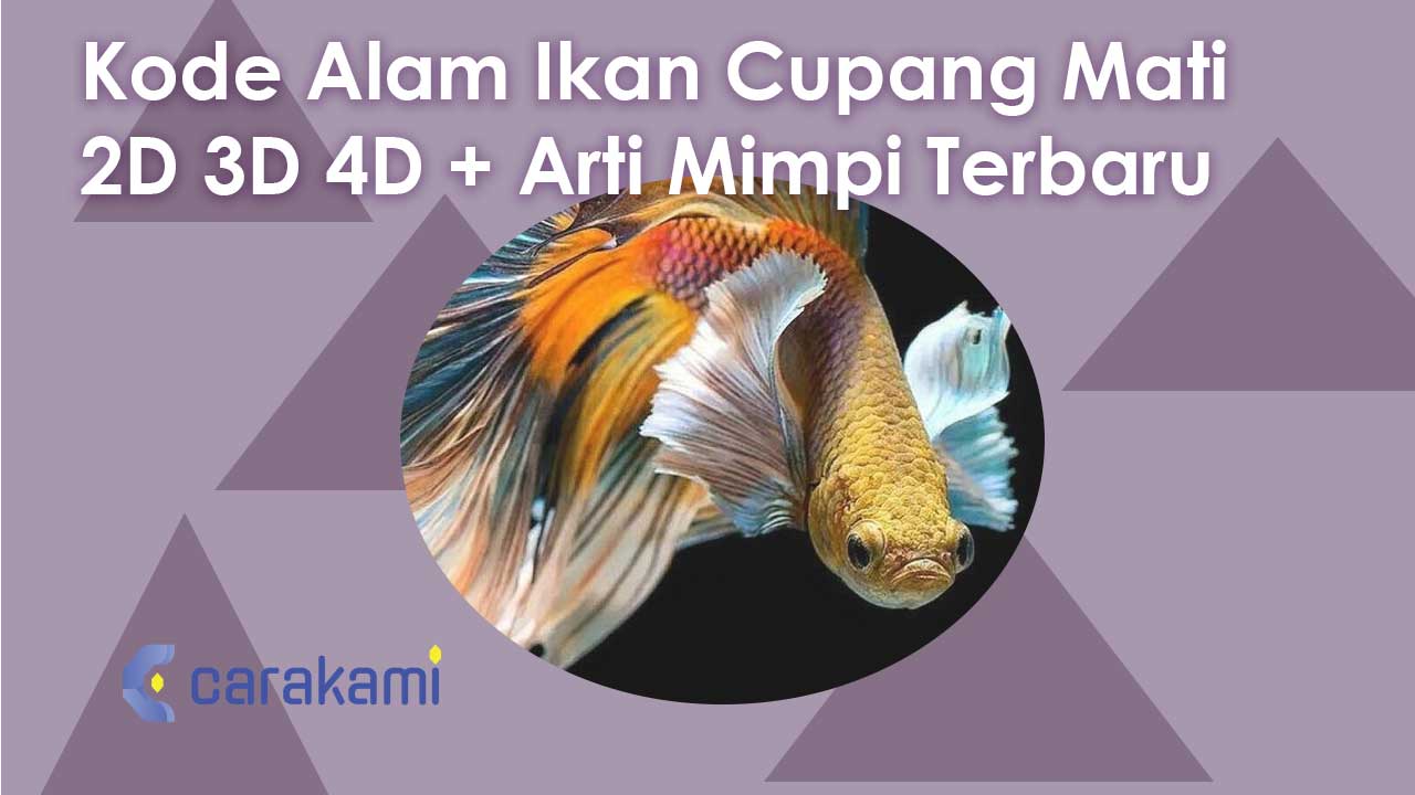 Kode Alam Ikan Cupang Mati 2D 3D 4D + Arti Mimpi Terbaru