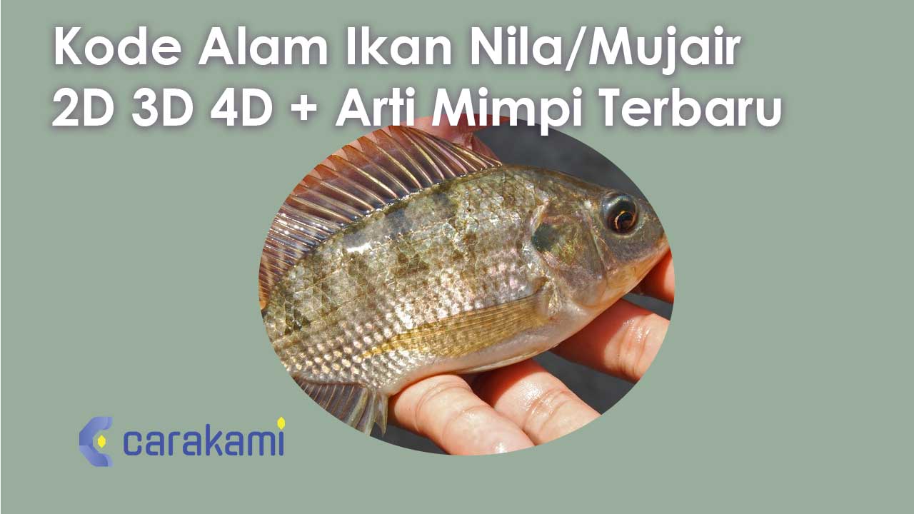 Kode Alam Ikan Nila/Mujair 2D 3D 4D + Arti Mimpi Terbaru
