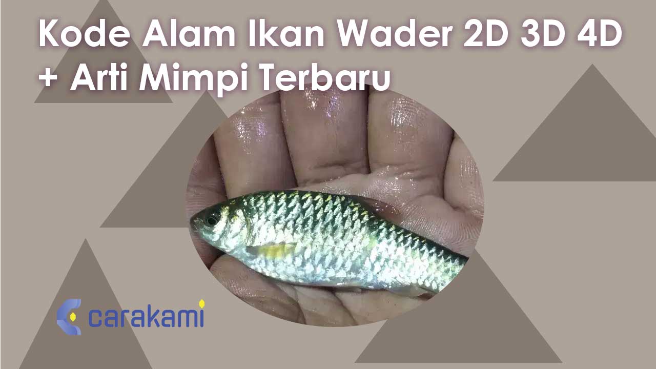 Kode Alam Ikan Wader 2D 3D 4D + Arti Mimpi Terbaru