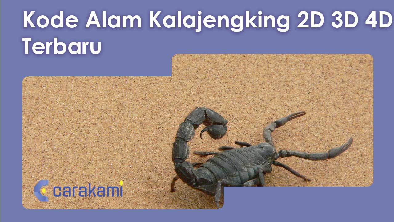 Kode Alam Kalajengking 2D 3D 4D + Arti Mimpi Kalajengking Terbaru