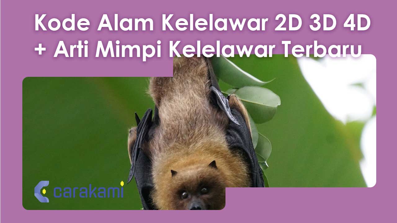 Kode Alam Kelelawar 2D 3D 4D + Arti Mimpi Kelelawar Terbaru