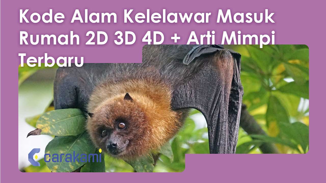 Kode Alam Kelelawar Masuk Rumah 2D 3D 4D + Arti Mimpi Terbaru