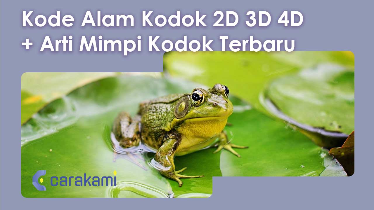 Kode Alam Kodok 2D 3D 4D + Arti Mimpi Kodok Terbaru