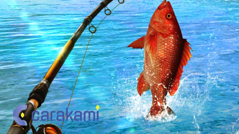 Kode Alam Mancing Ikan 2D 3D 4D + Arti Mimpi Mancing Terbaru