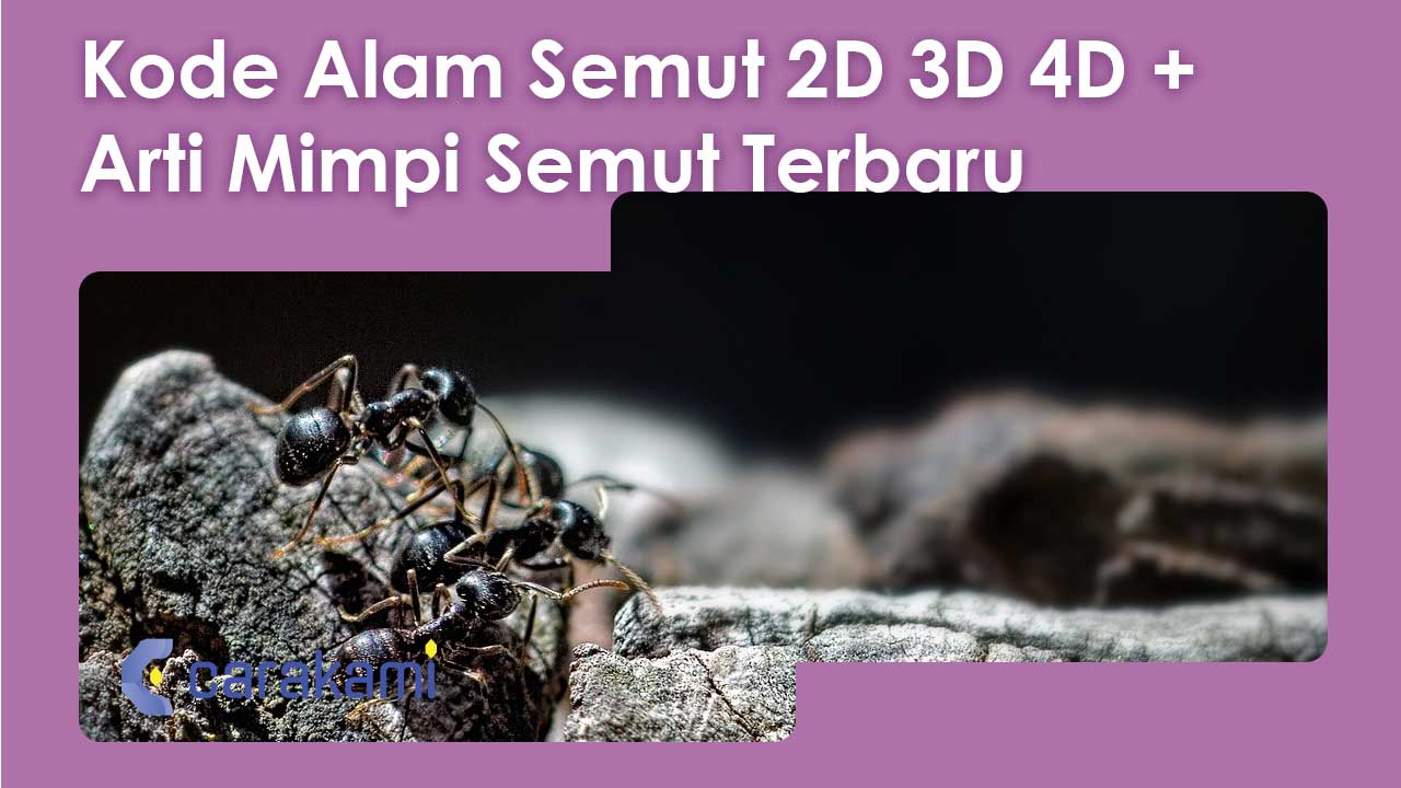 Kode Alam Semut 2D 3D 4D + Arti Mimpi Semut Terbaru