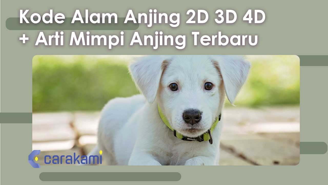 Kode Alam Anjing 2D 3D 4D + Arti Mimpi Anjing Terbaru