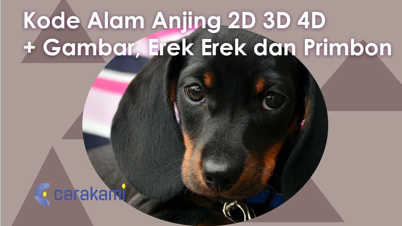 Kode Alam Anjing 2D 3D 4D + Gambar, Erek Erek dan Primbon