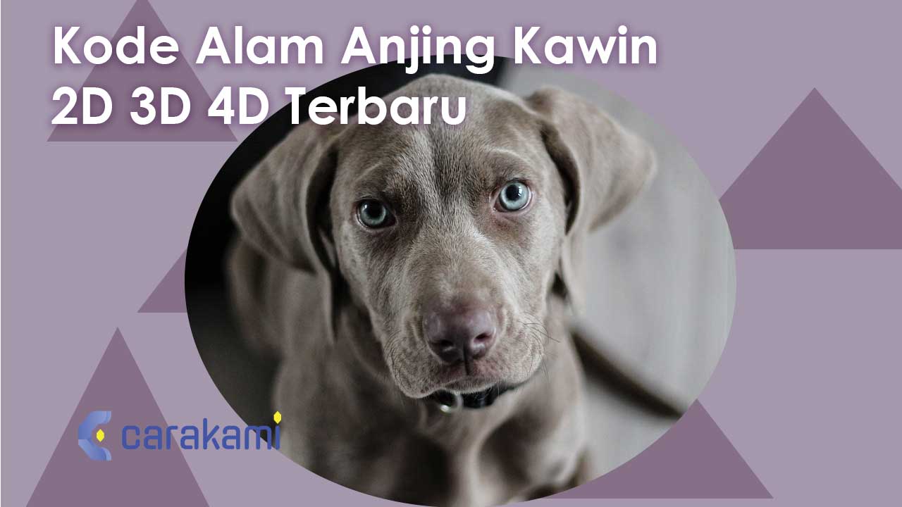 Kode Alam Anjing Kawin 2D 3D 4D Terbaru