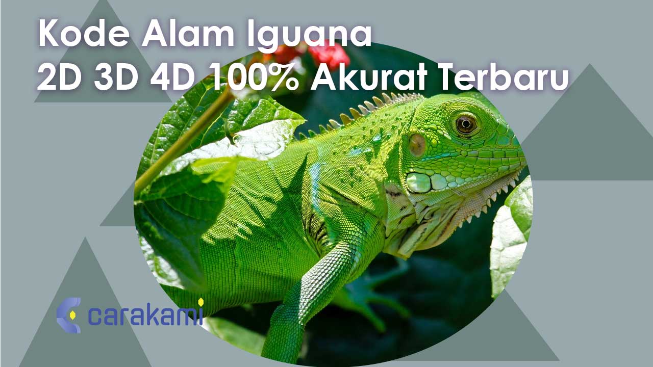Kode Alam Iguana 2D 3D 4D 100% Akurat Terbaru
