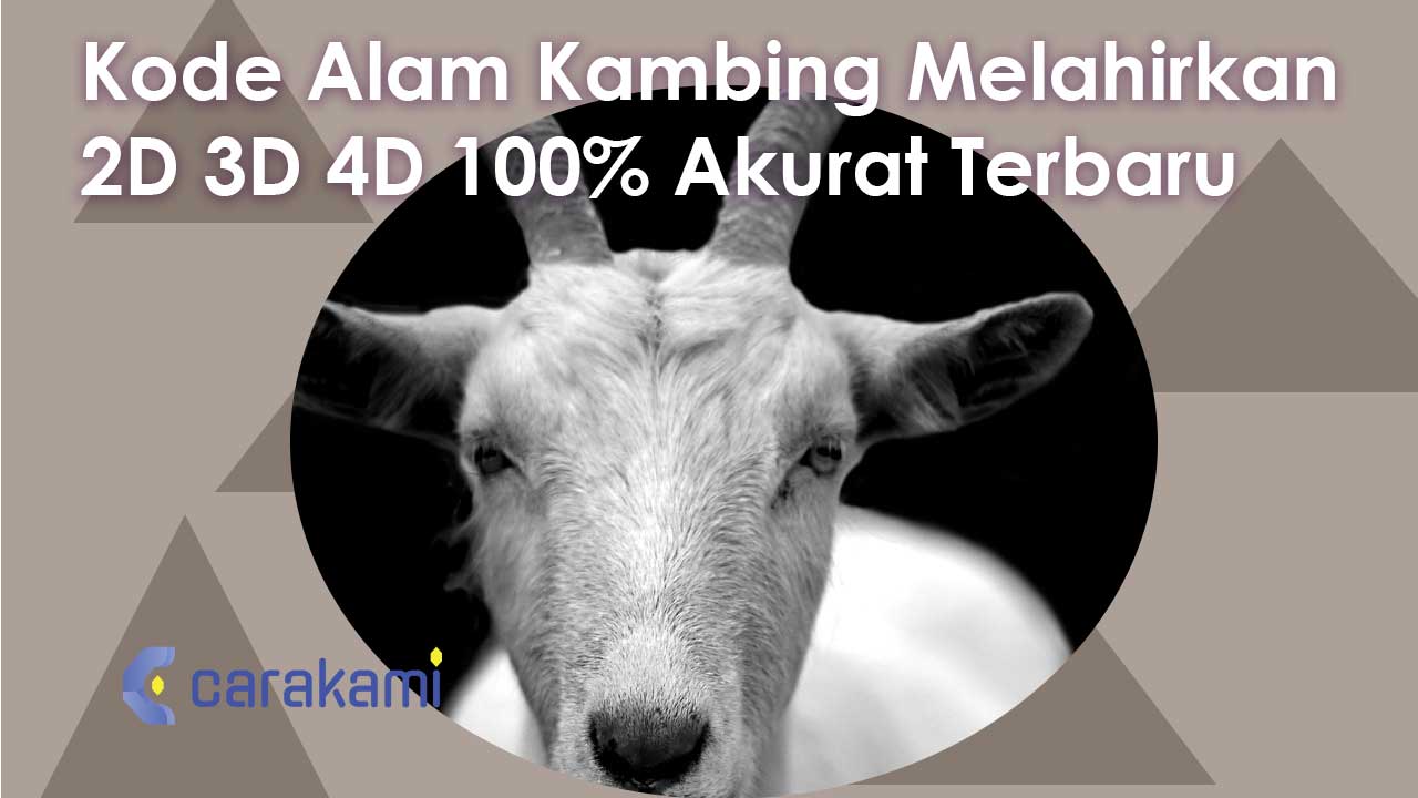 Kode Alam Kambing Melahirkan 2D 3D 4D 100% Akurat Terbaru