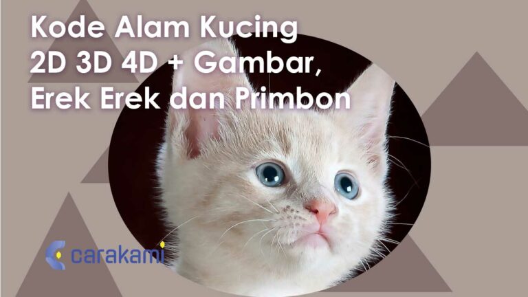 Kode Alam Kucing 2D 3D 4D + Gambar, Erek Erek Dan Primbon Terbaru