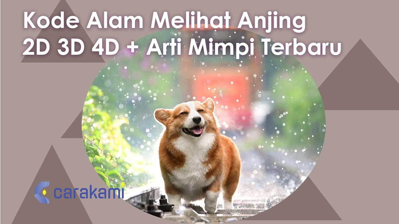Kode Alam Melihat Anjing 2D 3D 4D + Arti Mimpi Terbaru