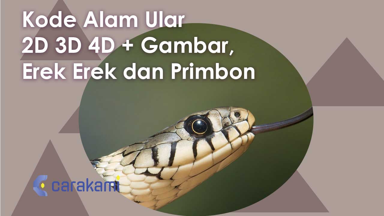 Kode Alam Ular 2 D 3 D 4 D + Gambar, Erek Erek dan Primbon